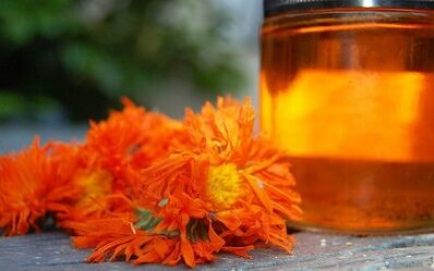 Decoction for treating varicose veins