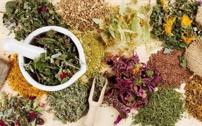Folk remedies for treating varicose veins